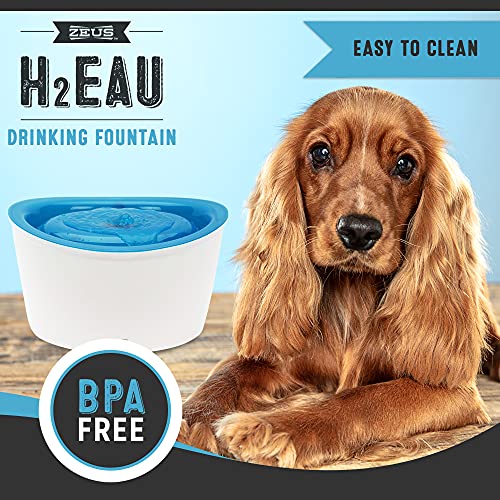 Zeus Fresh & Clear Elevated Dog and Cat Water Dispenser, Large Drinking