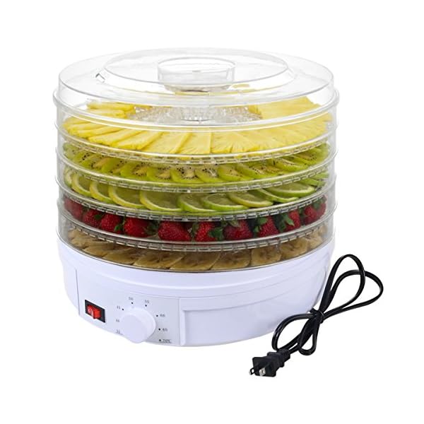 5-Tray-Electric-Food-Dehydrator-Fruit-Vegetable-Dryer-Beef-Snack-Jerky-White-New-US-Ship
