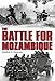 The Battle for Mozambique                                            : The Frelimo-Renamo Struggle, 1977-1992