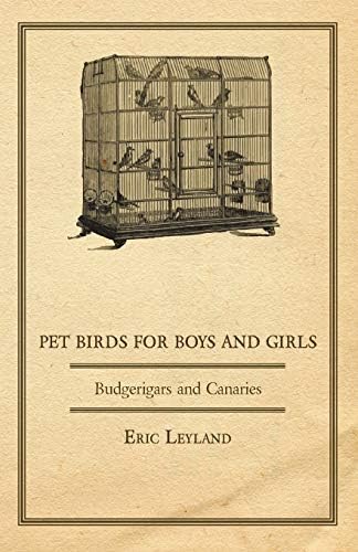 Pet Birds for Boys and Girls - Budgerigars and Canaries