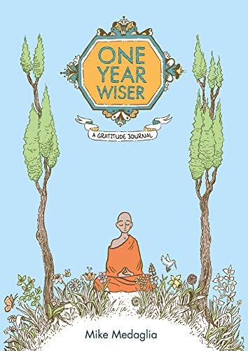 One Year Wiser: The Gratitude Journal: A Gratitude Journal Hardcover – 15 Sept. 2016