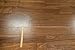 American Walnut Select & Better w/4mm Wear Layer Prefinished Engineered Wood Flooring 5