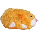 zhu zhu pets rocky