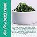 Organic Kelp Powder 1 Pound, Wholefood Dietary Supplement, Raw Sun-Dried Kelp Seaweed from Canada, 100% Pure, Non-GMO, Gluten-Free & Kosher