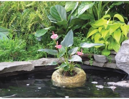 Mosquito Dunks 1139 Medium Clear Water Barley Straw Pond Treatment