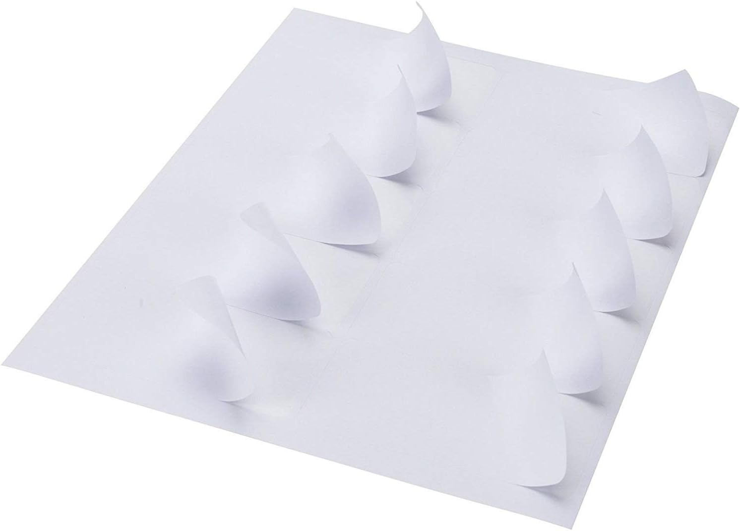 SJPACK 10-UP 100 Sheets Sticker Labels, 2" x 4" Internet Mailing Shipping Address Labels Compatible Laser/Ink Jet (100 Sheets) : Office Products