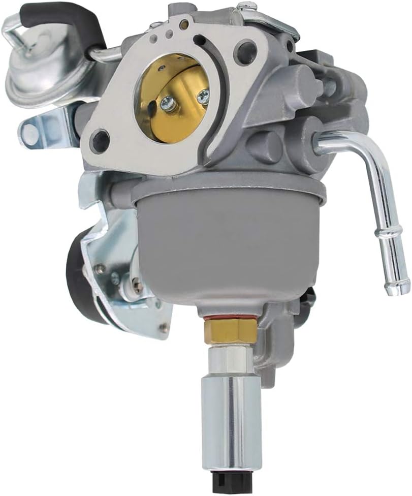 541-0765 Carburetor for 5410765 48-2042 141-0983 141-0982 146-0774(PWY) A043B781 A041P558 Onan 5500 Grand Marquis Gold generator HGJAA HGJAB-901D HGJAB-900 5.5HGJAB-6755K: Automotive