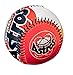 Jarden Sports Licensing MLB Houston Astros Retro Baseball, Orange