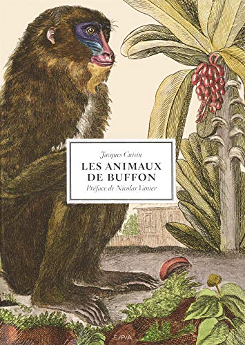 Les animaux de Buffon by 
