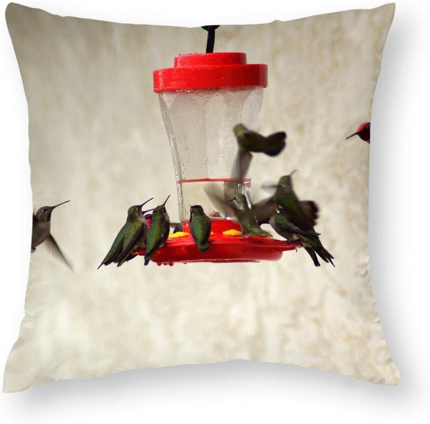 Mesllings Birds feeders Drinkers Hummingbirds Cushion Cover Pillow Cover Decorative Short Plush Floss Cover with 22 22 Inch Invisible Zipper Design Home Decor