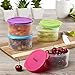 Fit & Fresh Multicolored Portion Control Containers, 1 Cup (Set of 4)