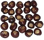 Buckeye Nuts - Nickel Size - Twenty-Five Nuts