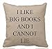 Queen's designer Cotton Linen Square Decorative Throw Pillow Case Cushion Cover I Like Big Books and I Cannot Lie(Background Pattern) 18
