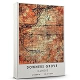 Downers Grove Map Poster, Illinois Map Art