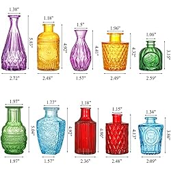 Coloch Set of 10 Colored Bud Vases, Assorted Small