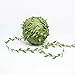 Olive Green Leaves Leaf Trim Ribbon -21.8 Yards, DIY Leaf Headband,DIY Leaf Napkin Rings, Leaf Balloon Tail, DIY Leaf Crown, Leaves Garland, Ribbon Craft Sewing DIY Wedding Bouquet