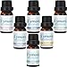 Skymore Essential Oil Blend Set/Kit, 100% Natural & Pure, Therapeutic Grade Essential Oils, Best Top 6 Aromatherapy Oils for Diffuser (Sleep, Breathe, Relief, Refresh, Immunity, Happy)