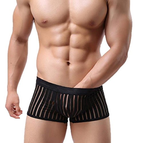 Men's Boxer Briefs, Mosunx(TM) Striped See Through Mesh Transparent Boxer Shorts Lingeries (M, Black)