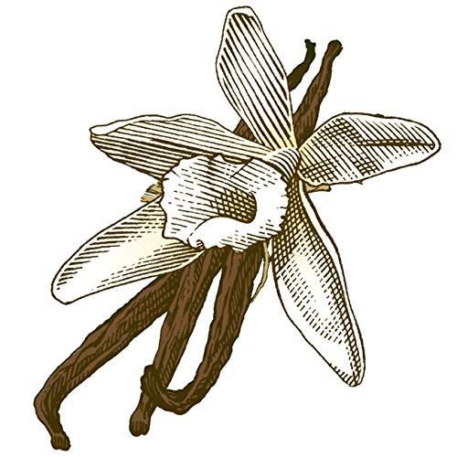 5 Burts+Bees+Natural+Moisturizing+Vanilla