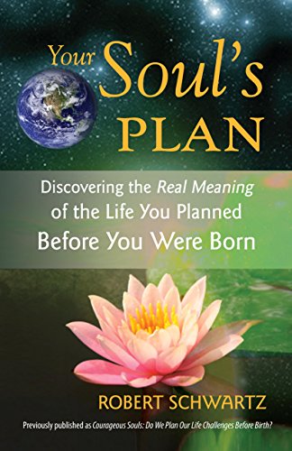 Your Soul's Plan: Discovering the Real Meaning of the Life You Planned Before You Were Born (Best Case Scenario Meaning)