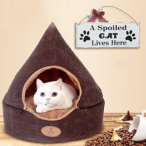 Wood Cat Sign Decor Cat Lover Sign, Hanging Pet Sign for Home Decor, Decorative Plaque Funny Cat Sign with Saying A Spoiled Cat Lives Here, Cat Wall Art Kitten Sign Cat Lover Gift 4X10in