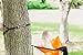 Bear Butt Kodiak Hammock Straps For Trees - 20 Feet Long Hammock Tree Straps - 40 Combined Loops - Holds 1000 Pounds - Camping Hammock Straps - Hammock Tree Straps With Carabiner - Hammock Accessories