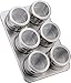 Stainless Steel Magnetic Containers Multipurpose Spice Tin Rack Perfect Kitchen Storage 6 Piece Set