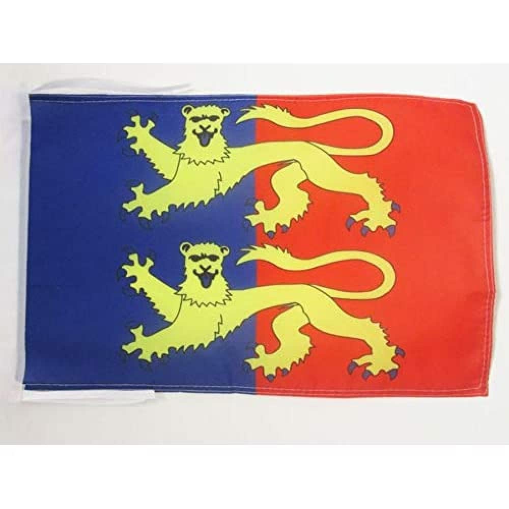 AZ FLAG - French Department of Manche Flag - 18'' x 12'' - 100% Polyester France Small Banner with Two Cords - Fade Resistant - Vivid Colors - 18x12 in - 45x30 Cm — image 1