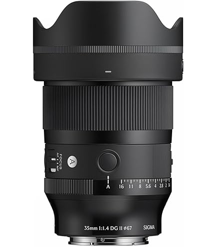Amazon.com: Sigma 35mm F1.4 DG DN para Sony E Montaje : Electrónica