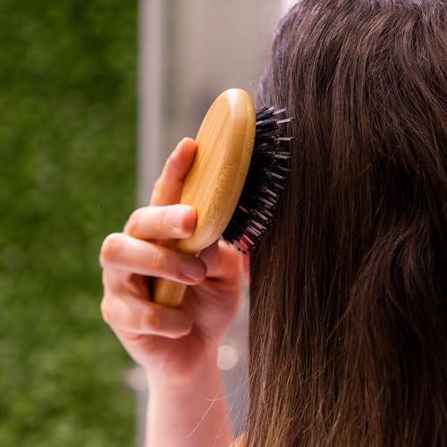 Woodlife® – Dúo de Cepillos Mini Ovalados de Bambú con Cerdas Naturales de Jabalí | Estimula el Folículo Piloso y Favorece el Crecimiento del Cabello.