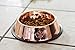 Petrageous Stainless Steel Dog Bowl – Bronze Copper Cat Food Dish Won't Rust Or Corrode - Dishwasher Safe Dog Food Dish – Non Slip Base Prevents from Sliding Around The Floor