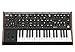 Moog Sub 37 Tribute Edition 2-Note Paraphonic Analog Synthesizer