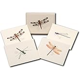 Earth Sky + Water - Dragonfly and Damselfly Assortment Notecard Set - 8 Blank Cards with Envelopes (2 each of 4 styles)