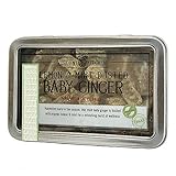 Lemon & Mint Dusted Baby Ginger 4 oz