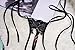 SS Queen Women Sexy Lace Tie Side Thongs Panties Crotchless Adjustable G-string Underwear (set1)