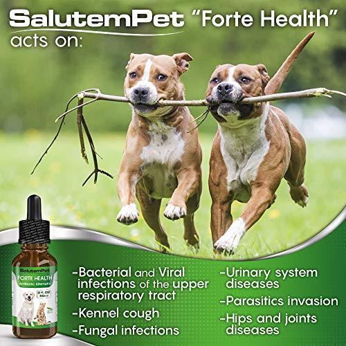 Natural ANTIBIOTICS For Dogs / ANTIBIOTICS Alternative For Pets/ Kennel