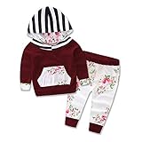 Baby Girls Floral Hoodie+ Floral Pant Set Leggings 2 Piece Outfits