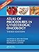 Atlas of Procedures in Gynecologic Oncology