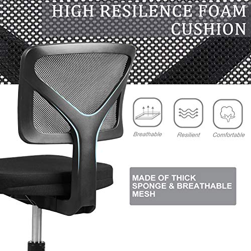 RIMIKING Mesh LowBack Ergonomic Swivel Chair Computer Chair Task Chair Desk Chair Armless Home