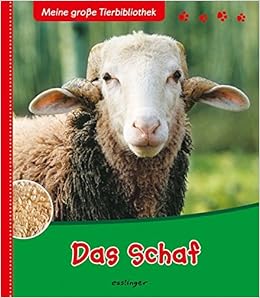 Meine Grosse Tierbibliothek Das Schaf Amazon De Dubois Emelie Bucher