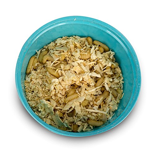 Josh's Frogs Waxworms (250 Count) - Thumbnail 2