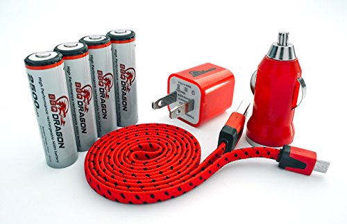 BBQ Dragon Rechargeable Battery Kit