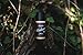 CanYouHandlebar Beard Oil for Men, Natural Beard Care Conditioner Moisturizer Softener Grooming Product, Woodsy and Citrus Scent, 1oz Dropper Bottle