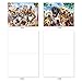 The Best Card Company - 10 Blank Animal Cards Boxed (4 x 5.12 Inch) - Assorted Pets, Zoo, Wildlife Cards for Kids - Off the Leash M6641OCB
