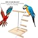 Hffheer Pet Parrot Stand Wooden+Metal Parrots Playstand Perch Gym Stand Playpen Ladder Bird Playground Parrot Perch Gym Stand Playpen Parrot Cage Toys for Parakeet Conure Cockatiel Cage Accessoriesthumb 1