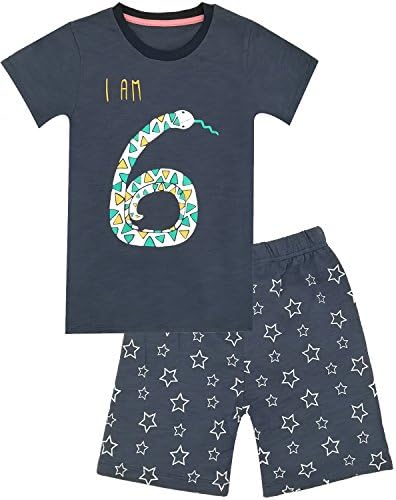 Color Changeable Kid Boys Animal 6th Birthdays Gift Short Set (6T)