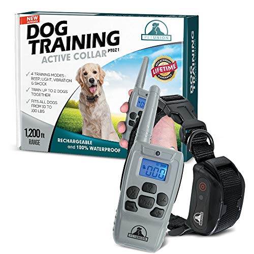 Pet Union PT0Z1 Premium Dog Training Shock Collar, Fully Waterproof, 1200ft Range (Light Gray)