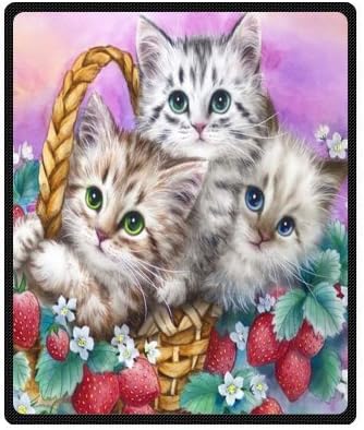 Funny Cats Strawberry Basket Kittens Comfy Polar Fleece Throw Blanket 50" x 60" (Medium)