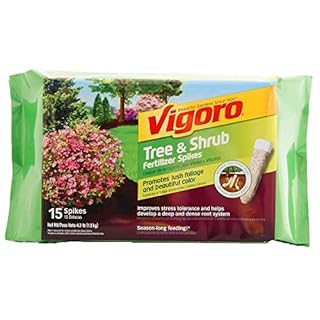 UPC 071645542057 product image for Vigoro Tree and Shrub Fertilizer Spikes (15-Count) (B00KYPIOZ4) | upcitemdb.com