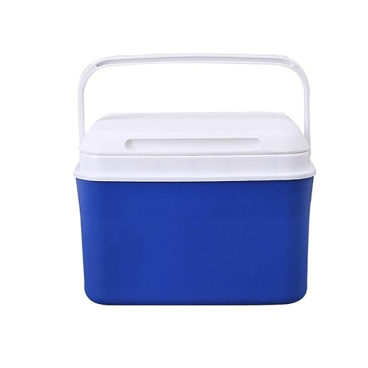 Ambiguity Nevera Camping,Refrigerador portátil de 5L plástico Caja ...